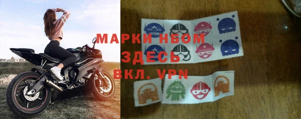 индика Алзамай