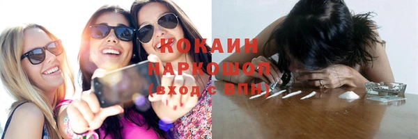 индика Алзамай