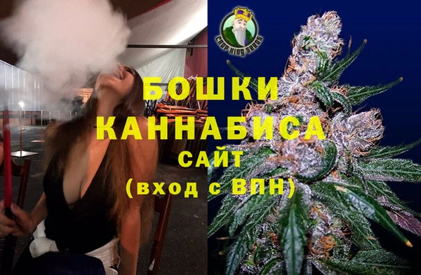 ПСИЛОЦИБИНОВЫЕ ГРИБЫ Алексеевка